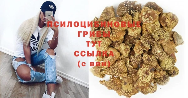 PSILOCYBIN Аркадак