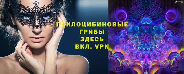 дживик Арсеньев