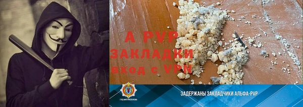 PSILOCYBIN Аркадак