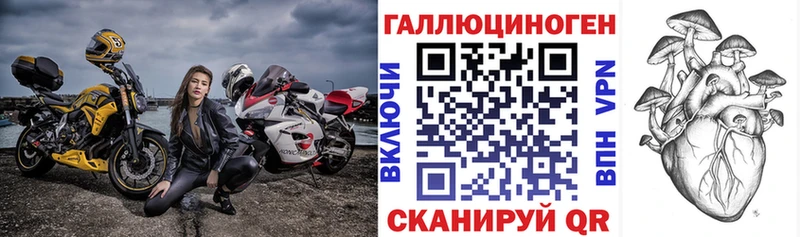 купить закладку  Мончегорск  Псилоцибиновые грибы GOLDEN TEACHER 